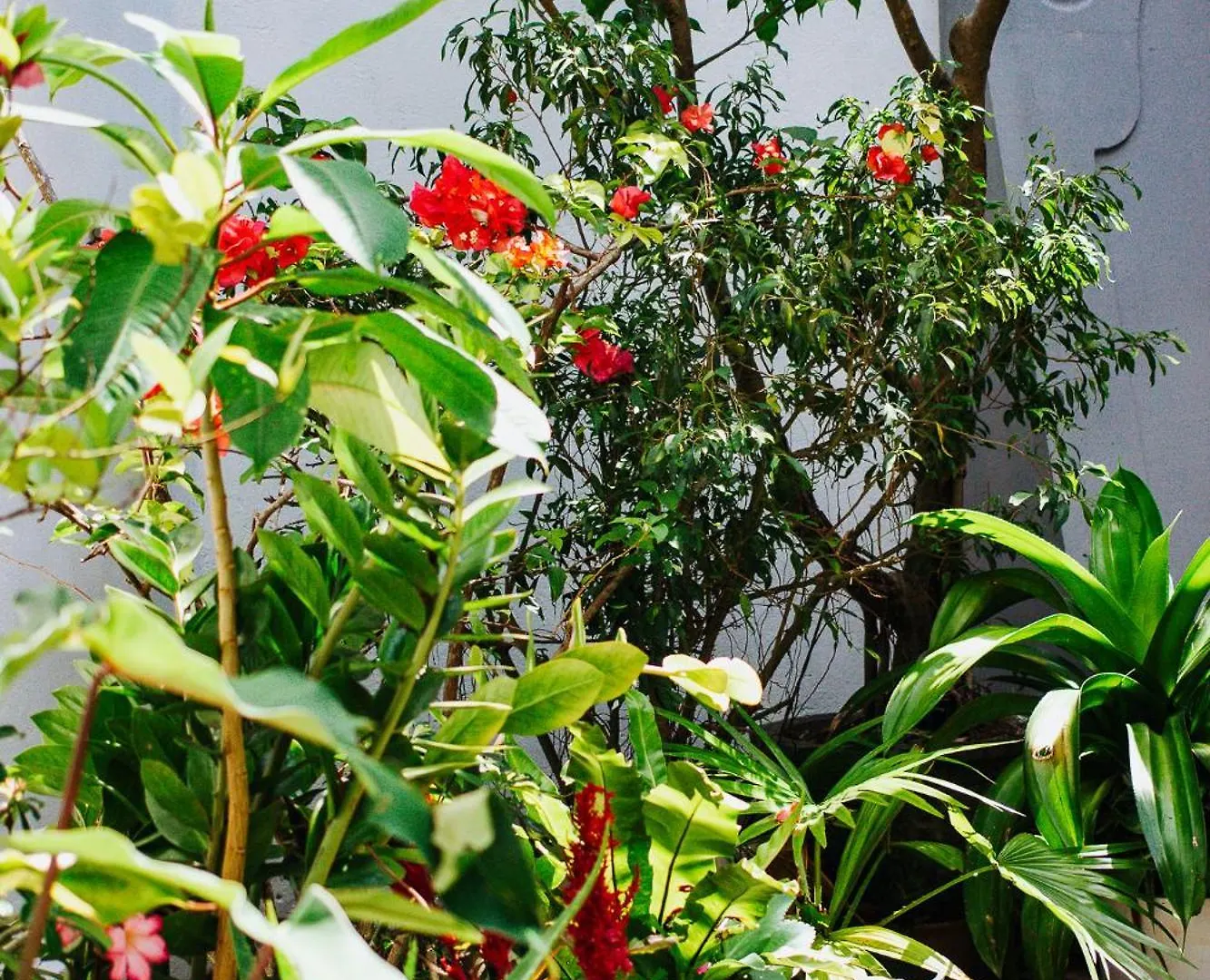 Hotel Kaya Residence Kandy