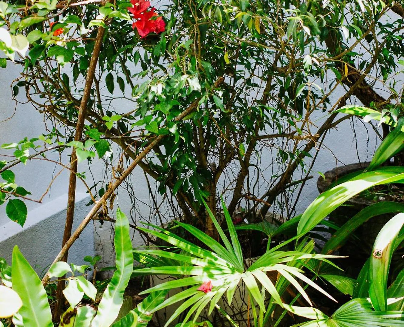 Hotel Kaya Residence Kandy